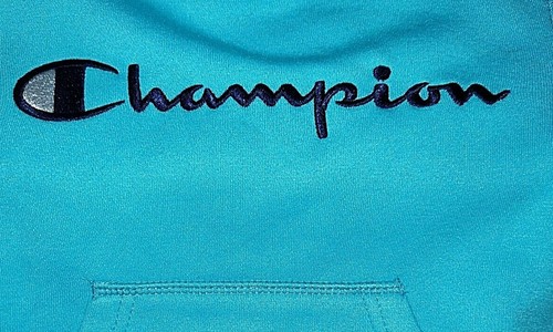 NWT CHAMPION Little Boys Signature Logo Fleece Hoodie, Blue, Sizes: 4 - 7 - Picture 20 of 20