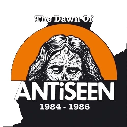 Discos de vinilo de rock antiseen