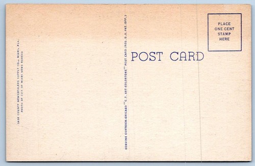 POSTAL DE LINO VINTAGE SKYLINE AERIAL VIEW DC-244 MIAMI FLORIDA FL 1940-50 - Imagen 2 de 2