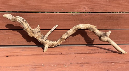 DRIFTWOOD Natural Freshwater TERRARIUM Aquarium DECOR Crafts 22" Root Wood ARCH - 第 9/13 張圖片