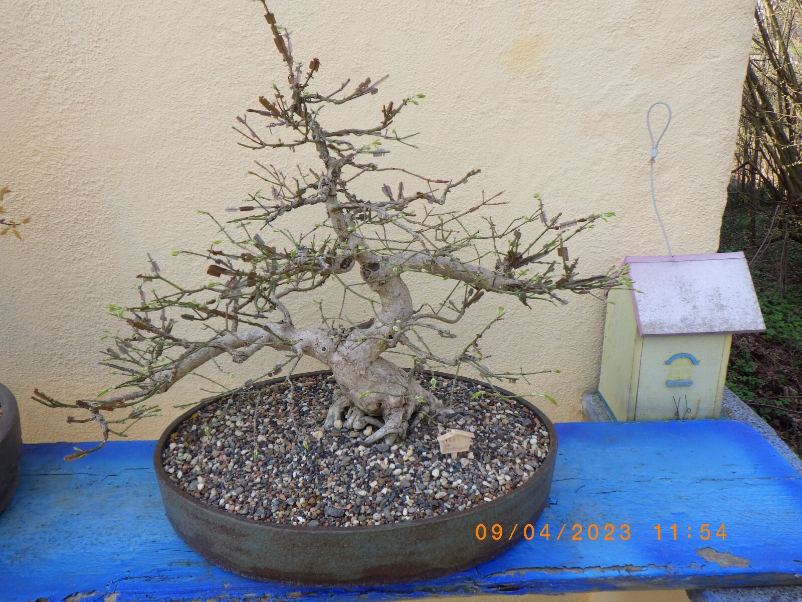 Bild 6 von 13