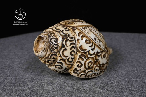 Rare Handcraft Zambala Tibetan Ritual Conch Shell trumpet Blowing Purpose - Picture 5 of 10