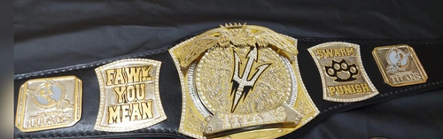 Custom Spinner Championship Title Belt - 4mm Thick Gold Plated - Picture 7 of 8