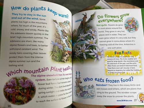 Ask Me About Homeschool Educational Books Stickers Bones bugs astronauts dragons - Imagen 10 de 18
