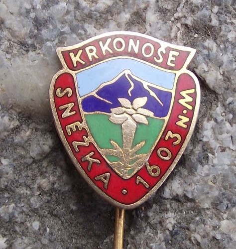 Vintage Krkonose National Park Mountain Flower Snezka 1603m Mountain Pin Badge - Picture 1 of 5