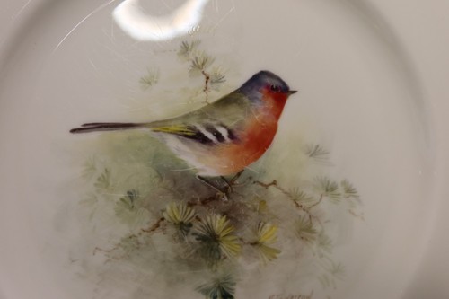 Royal Worcester Multi-Motif Birds Bone China 12 Dinner Plates Artist E. Townsend - Picture 17 of 24