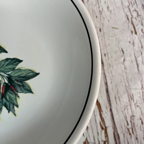 Williams-Sonoma Cayenne Individual Pasta Bowl 9 1/8” Made in Portugal - Afbeelding 5 van 9