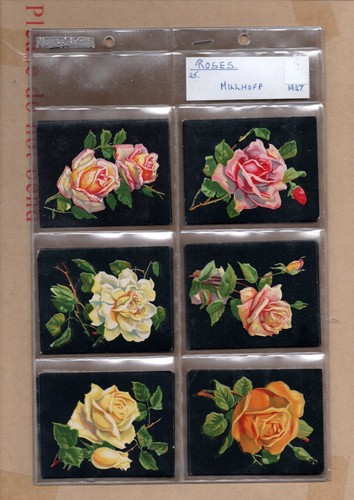 Ogdens Zigarette / Trade (L) Vollkartensets - Rennfußballboxschauspieler etc - Bild 125 von 140