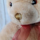 Bild 4 von 10