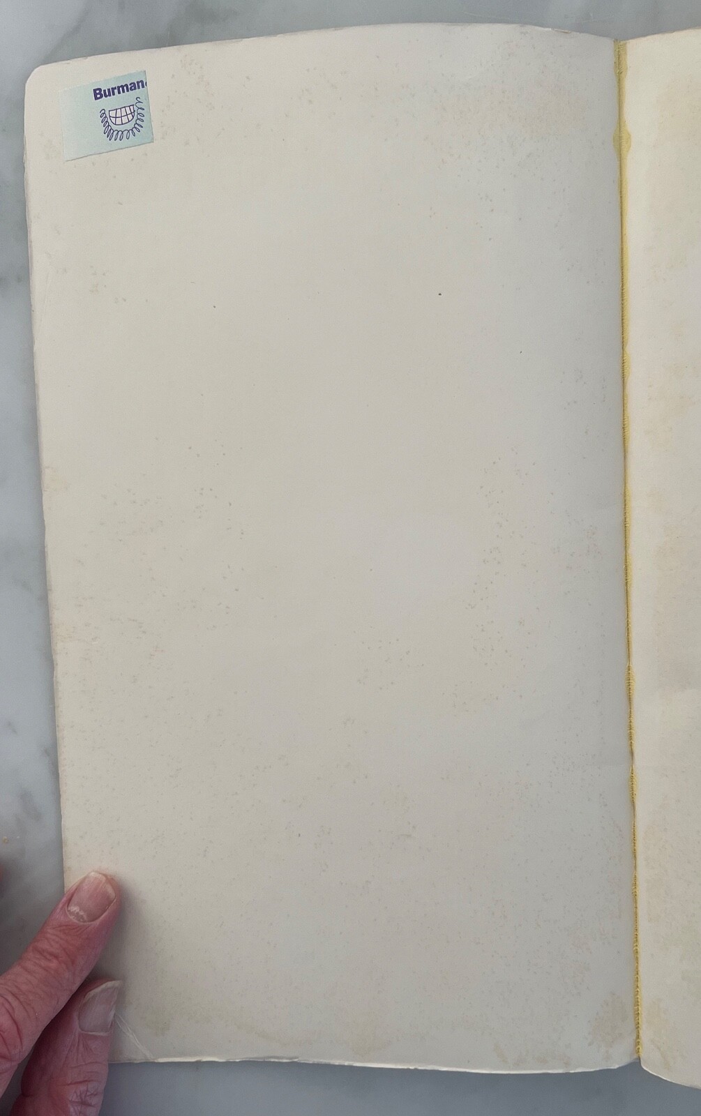 Picture 4 of 13