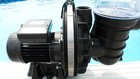 STA- RITE SWIMMING POOL PUMP 5P2R 0.75 HP 0.55 KW PUMP BLACK