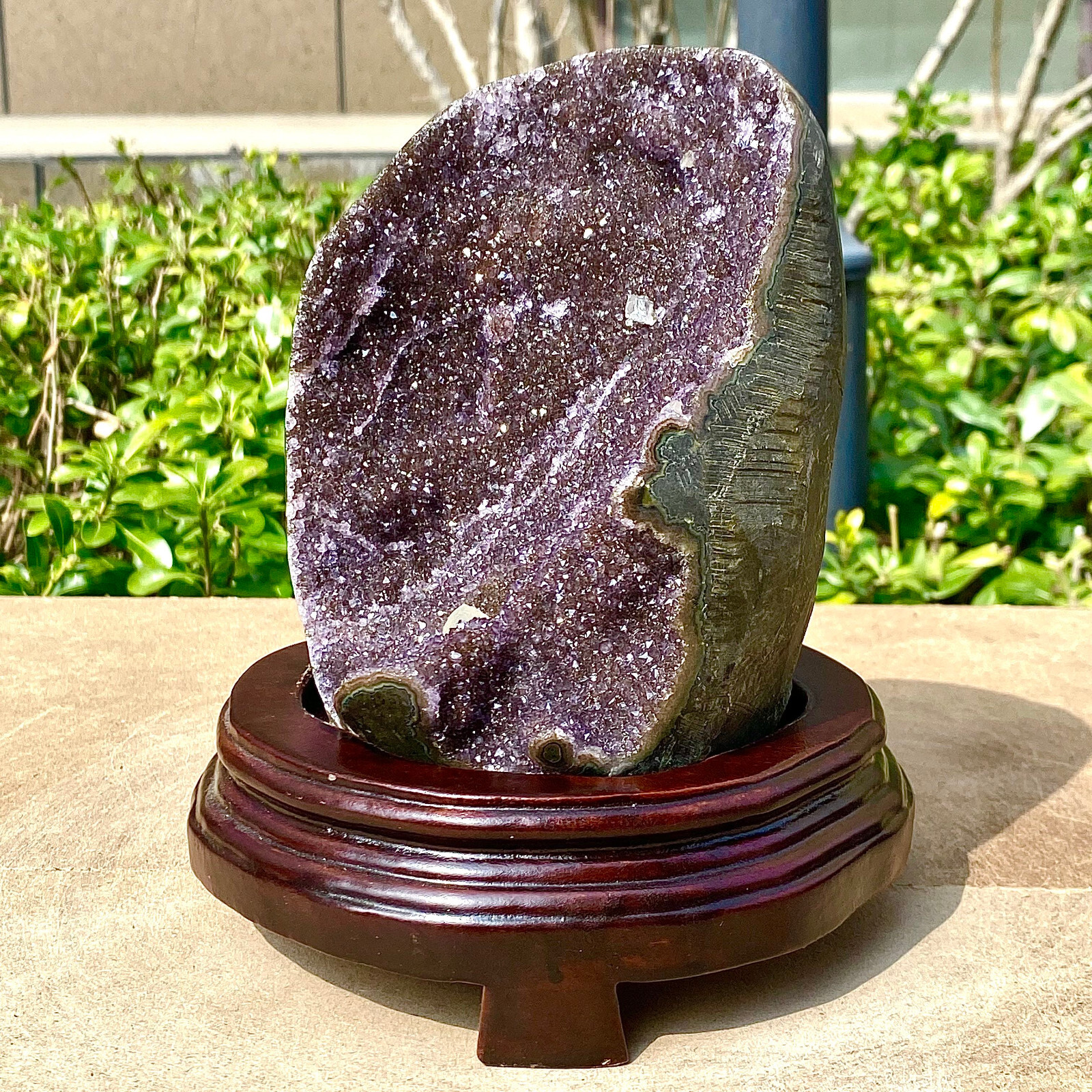 Picture 8 of 12