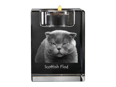 Scottish Fold - Candle holder with cat photo, crystal tealight holder, personali