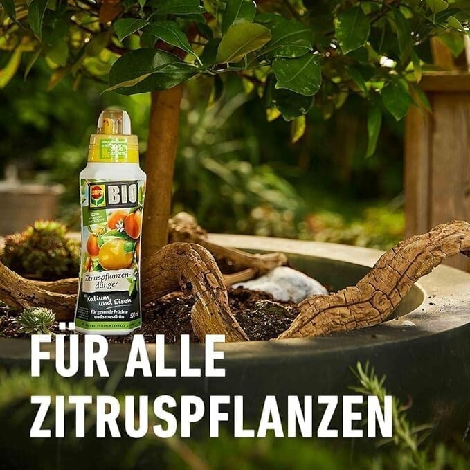 Bild 6 von 9