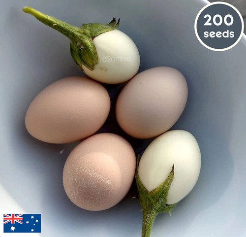 White Japanese Eggplant Seeds 200 Heirloom Vegetable Plant Aubergin Egg - Picture 1 of 8