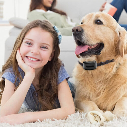 Anti Bark Dog Training Collar Sound Vibrate-Shock Stop Barking Remote LCD USB AU - Picture 20 of 24