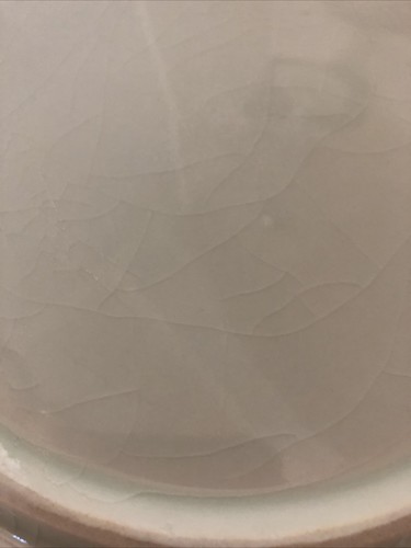 Old Blue and White Birds And Grapes Pattern Porcelain Plate - Picture 4 of 7