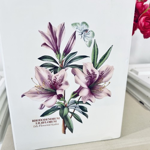 De colección Portmeirion Arbustivo Peonía Jardín Botánico Basura Inglaterra Basura - Imagen 3 de 9