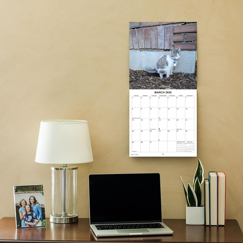 Calendario de Pared Felinos Fecales 2026 12"x24" Divertido Gato Mordaza Planificador de Regalo 2025-2026 - Imagen 7 de 12