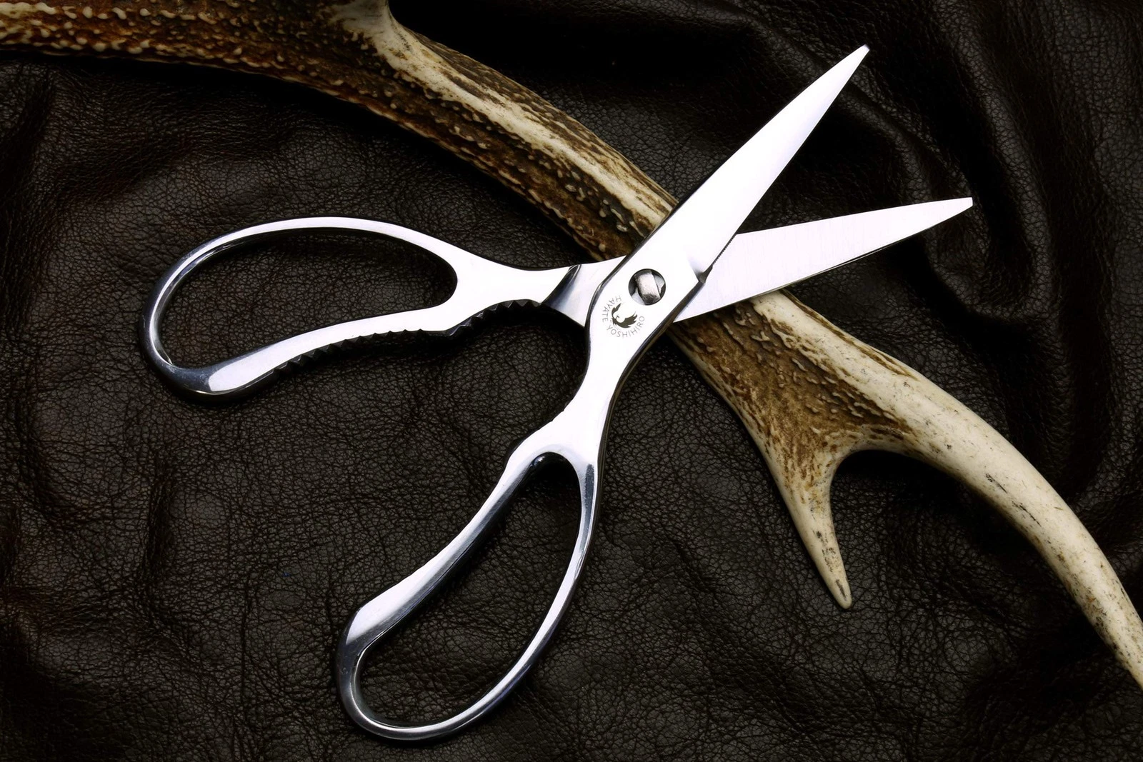 Yoshihiro Kitchen Shears - Thumbnail 4