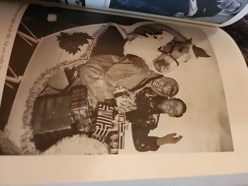 GESCHICHTENERZÄHLER DER NATION GESCHICHTE AMERIKANISCHES FERNSEHEN SCHREIBEN SIGNIERT ERSTAUSGABE - Bild 11 von 16