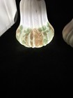 Foto 12 di 13
