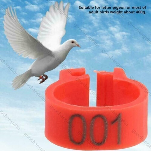 100 x Ring für Geflügel bunt / Clipsringe / Wachtel Tauben Küken 8mm 001-100 * ; - Bild 6 von 26