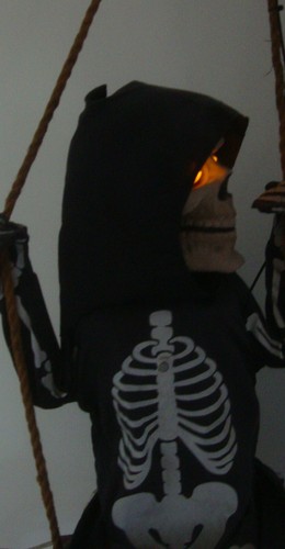 Spirit Halloween Lil Skelly Bones Animated Skeleton Animatronic Life Size W/Box - Picture 5 of 12
