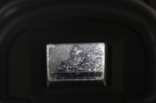 Canon EOS 1N HS BP-E1 Film Camera + Tamron SP 24-135mm F/3.5-5.6 Macro Lens - Picture 4 of 15