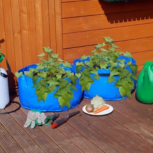 Bolsas de cultivo de jardín macetas contenedor bolsas de verduras cultiva tu propio patio - Imagen 12 de 25