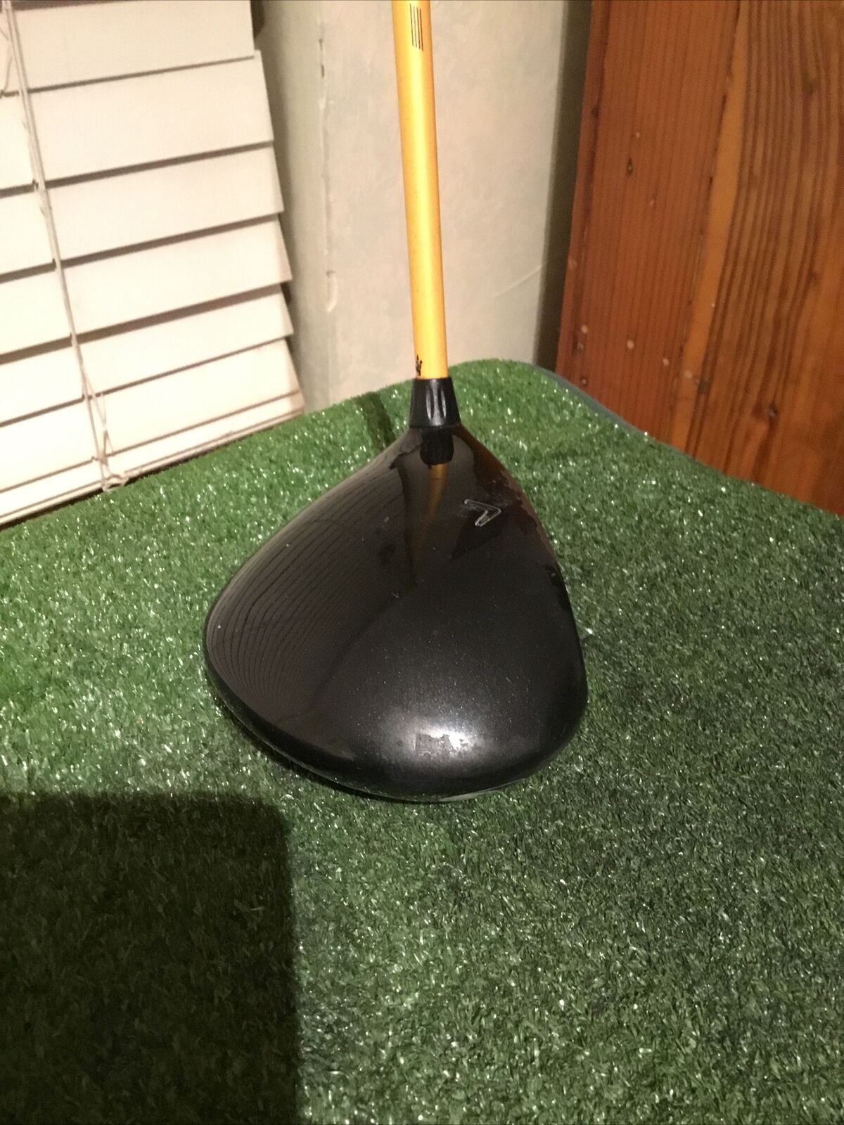 Picture 5 of 12