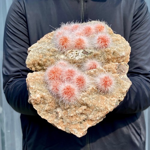 4.6LB Indian dandelion zeolite Quartz Crystal Cluster Mineral Specimen - 第 10/16 張圖片