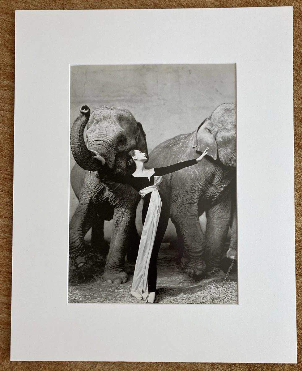 Preços baixos em Impressões de Arte Original Richard avedon | eBay
