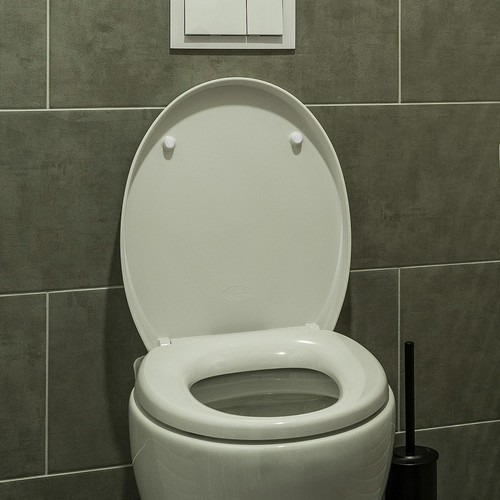 Cuscini Cuscini Sedile Guarnizione WC Bidet Paracolpi Tampone Raccordi Coperchio - Foto 7 di 12