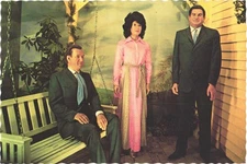 Nashville Tennessee Kitty Wells Country Music Wax Museum Postcard