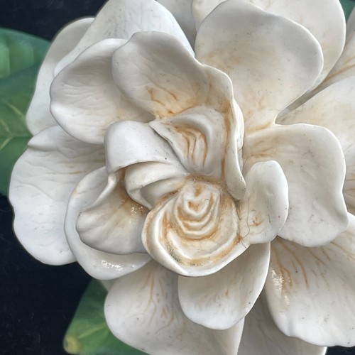 Figura Flor Franklin Como Nueva Cape Jasmine Gardenia Ronald Van Ruyckevelt 1988 - Imagen 3 de 16