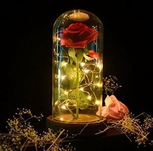 Enchanted Forever Rose Flower In Glass LED Light Wedding Xmas Decor Lover Gift
