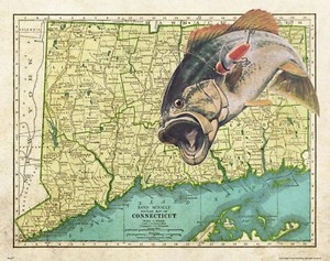 Largemouth Bass Vintage Fishing Lures Connecticut State Map Art