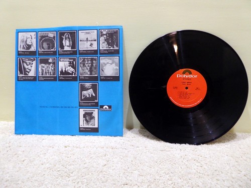 LINK RAY SELF TITLED VINYL LP, ORIGINAL 1971 DIE CUT UNIPAK, NM/EXC, FAST SHIP! - Picture 5 of 12
