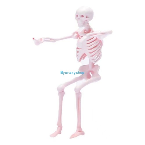 CR 1:64 Painted Figure Model Miniature Resin  Sand Skeleton Skull  White - Picture 5 of 17