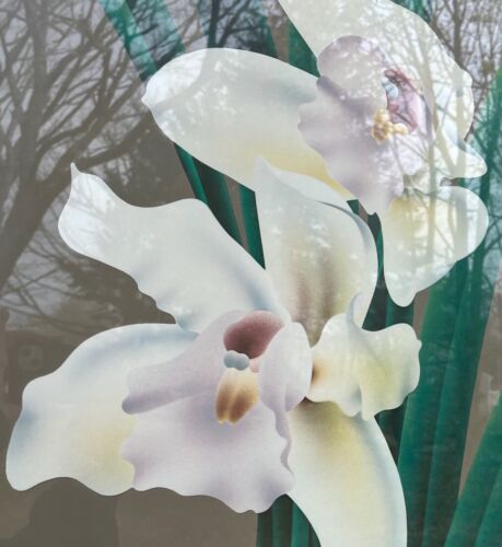 Brian Davis Poster Framed Cymbidium V New York Botanical Gardens Art Exhibition - Picture 2 of 8