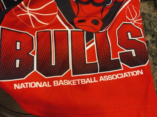 MICHELLE & NESS CHICAGO BULLS NBA FINALS 1996 FINALS HOME AWAY SHORTS CHAMPIONS ~ - Bild 4 von 7