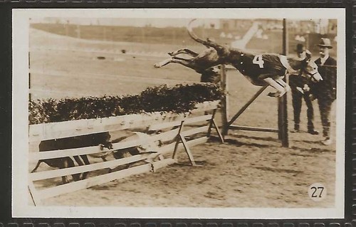 HILL (RJ) - SPORT SERIES 1934 (F50 LONDON IDOL) - #27 - GREYHOUND RACING  - Bild 1 von 2