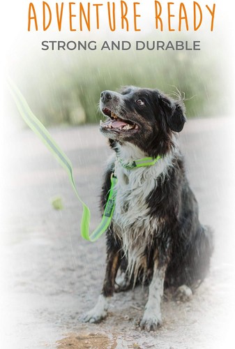 Correa impermeable Mighty Paw para perro - plomo a prueba de olor para mascotas contra el olor a pie de perro - Imagen 5 de 6