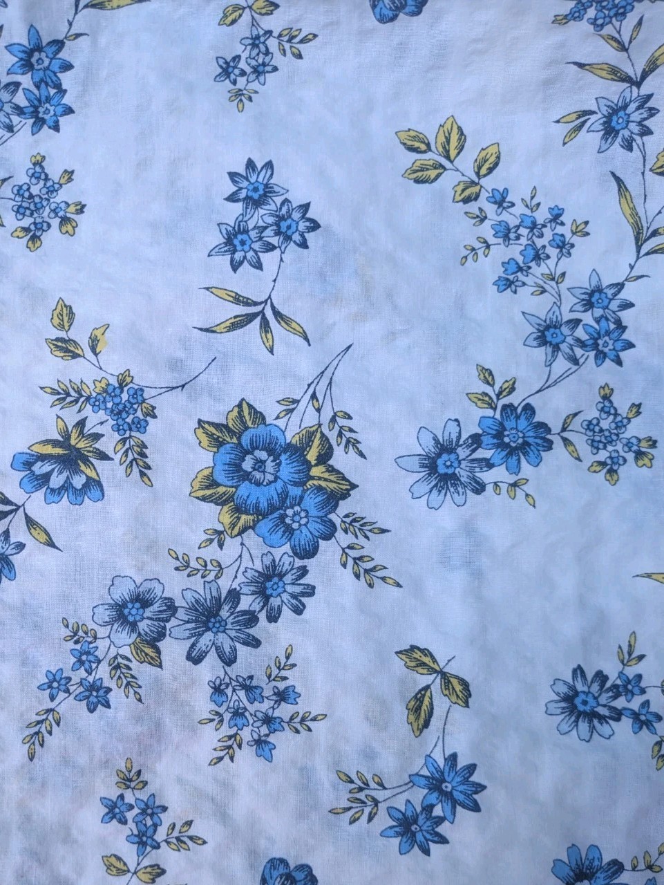 Picture 14 of 20