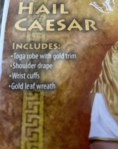 Mens Julius Caesar Halloween Costume - Picture 3 of 3