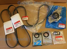 Genuine OEM Acura CL TL / Honda V6 Timing Belt Water Pump Kit with Drive Belts