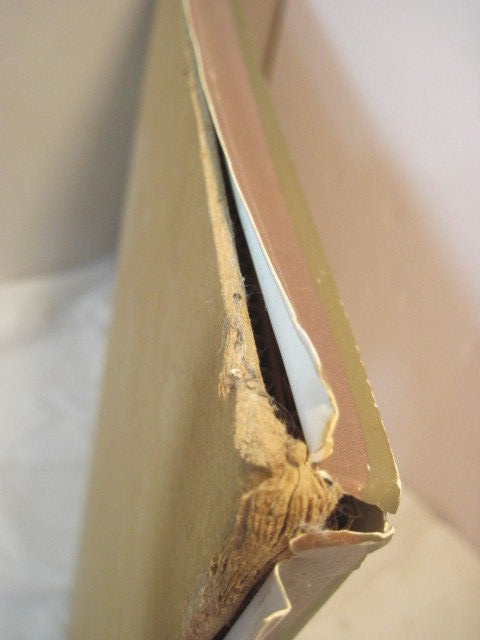 Bild 10 von 11