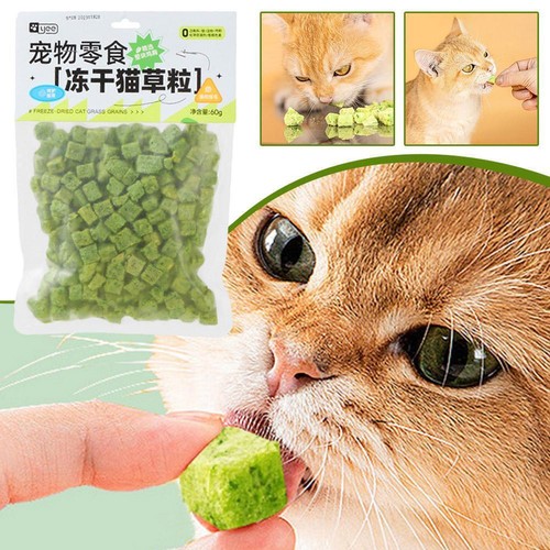 60g Cat Grass Snack For Indoor Cats Grass Chew Teeth Hairball Cleaner Y3Z7 G3P4 - Picture 15 of 15