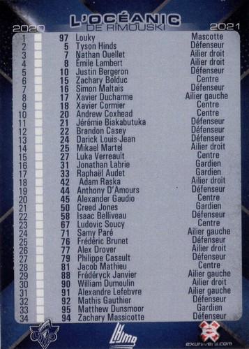 Mascots - You pick from list: AHL / ECHL / OHL / QMJHL / WHL - Picture 107 of 247